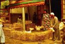 Egyptian Chicken Seller, Cairo